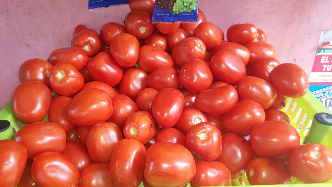 verduras